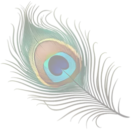 Banner Icon