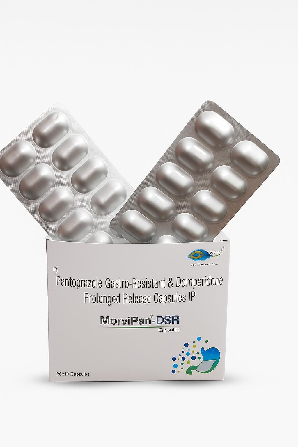 MorviPan- DSR